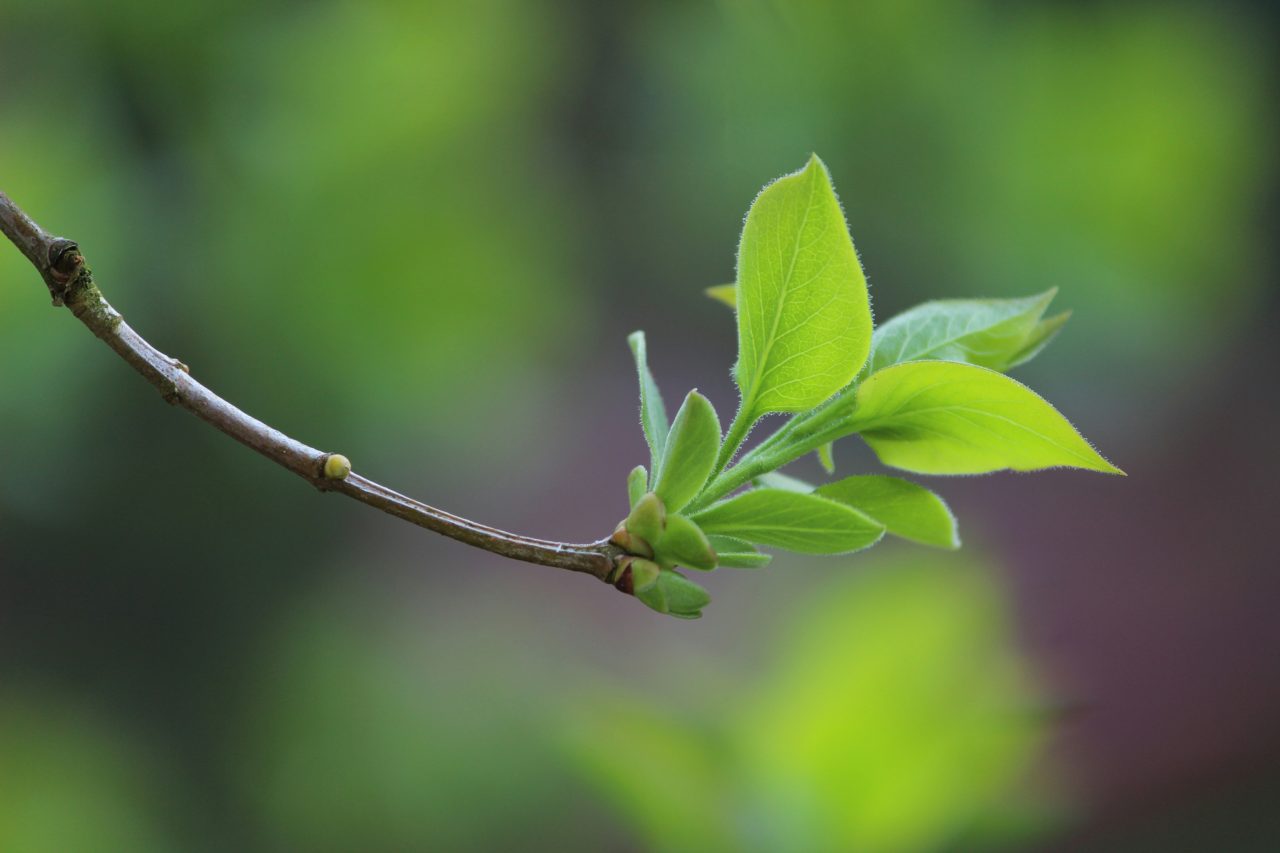torben-buck-YOGsQI4S8uU-unsplash-1280x853.jpg